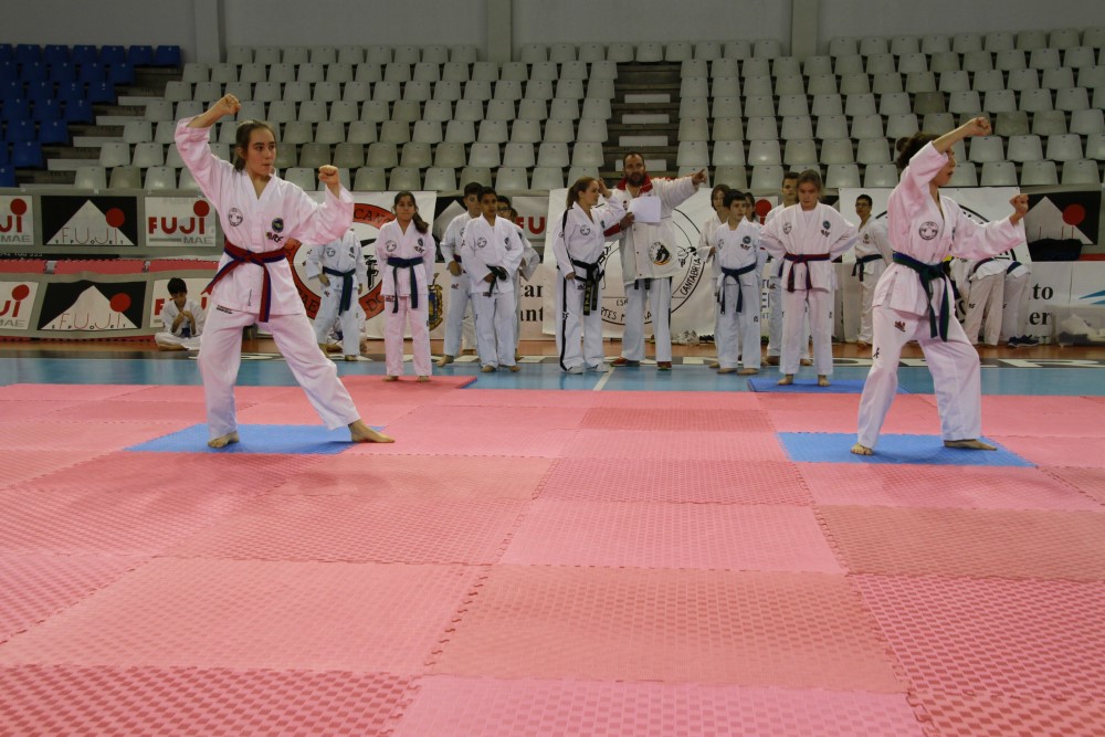 Taekwondo Dic 2016 (196).jpg